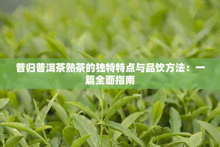 昔归普洱茶熟茶的独特特点与品饮方法：一篇全面指南