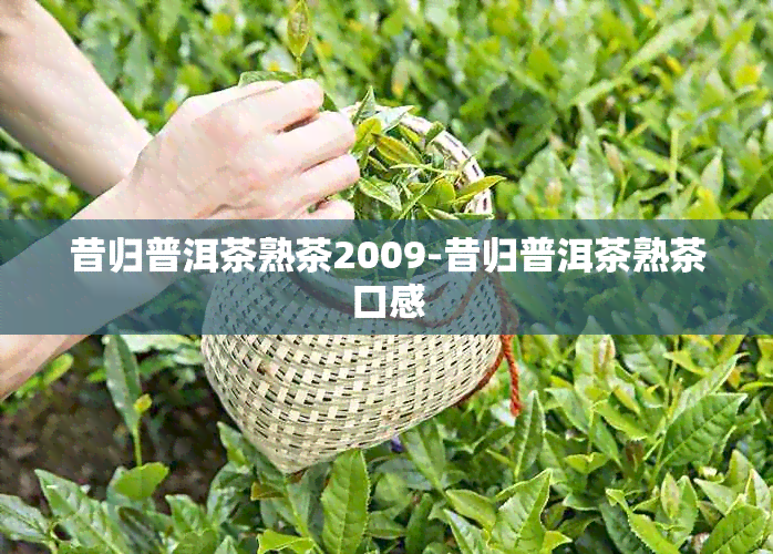 昔归普洱茶熟茶2009-昔归普洱茶熟茶口感