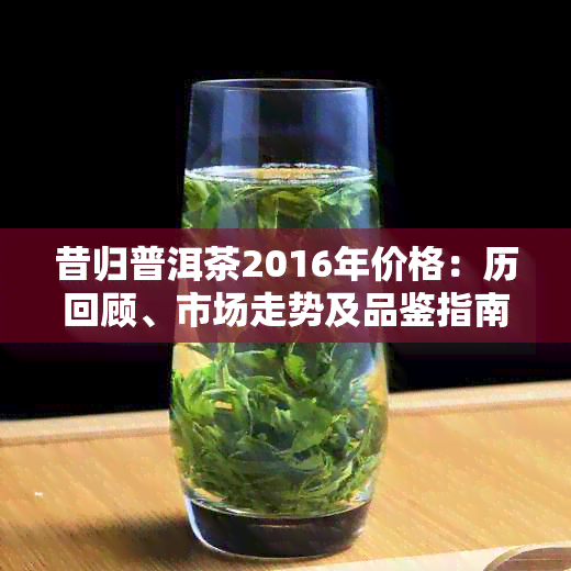 昔归普洱茶2016年价格：历回顾、市场走势及品鉴指南