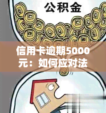 信用卡逾期5000元：如何应对法律诉讼与解决办法？