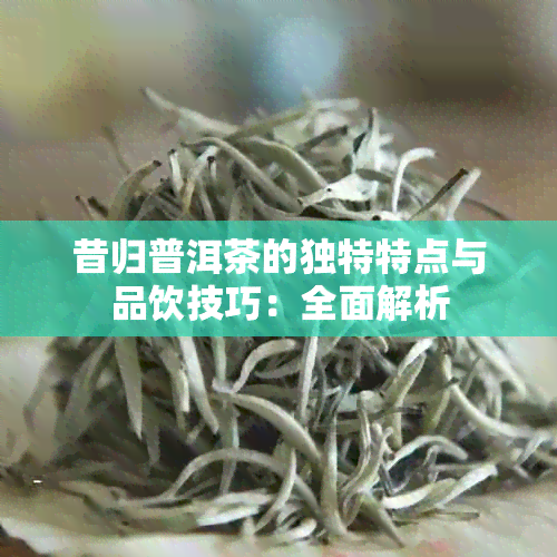 昔归普洱茶的独特特点与品饮技巧：全面解析