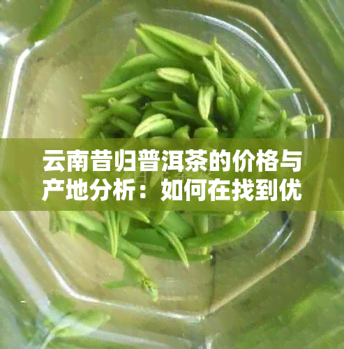 云南昔归普洱茶的价格与产地分析：如何在找到优质货源？