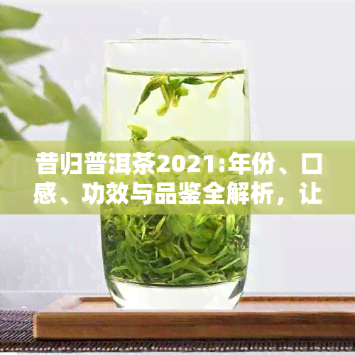 昔归普洱茶2021:年份、口感、功效与品鉴全解析，让你全面了解这款茶叶