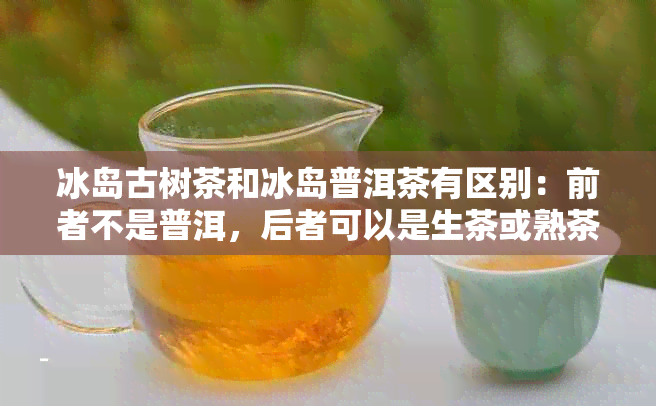 冰岛古树茶和冰岛普洱茶有区别：前者不是普洱，后者可以是生茶或熟茶。