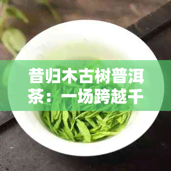 昔归木古树普洱茶：一场跨越千年的茶文化之旅