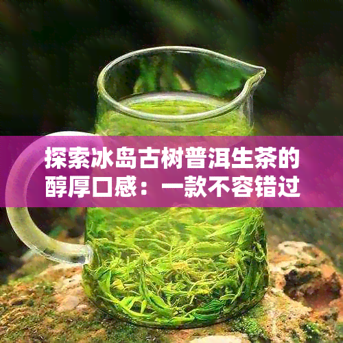 探索冰岛古树普洱生茶的醇厚口感：一款不容错过的冲泡方法