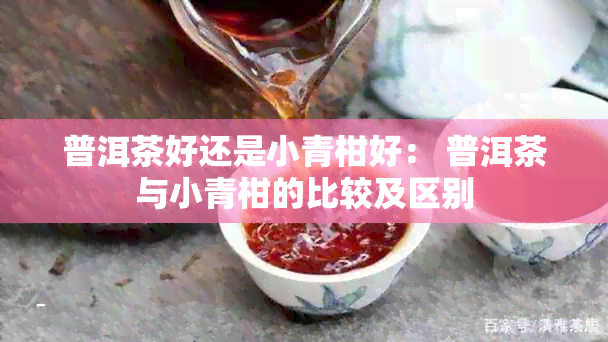 普洱茶好还是小青柑好： 普洱茶与小青柑的比较及区别