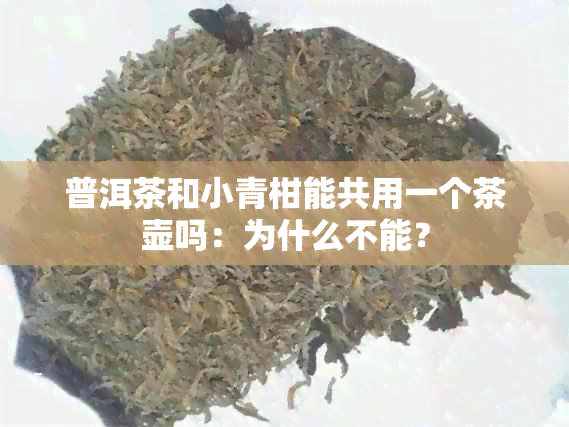 普洱茶和小青柑能共用一个茶壶吗：为什么不能？