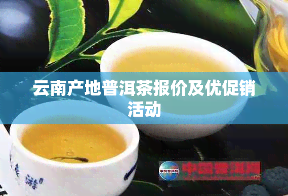 云南产地普洱茶报价及优促销活动