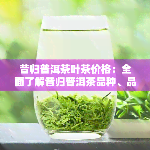 昔归普洱茶叶茶价格：全面了解昔归普洱茶品种、品质、年份及市场行情