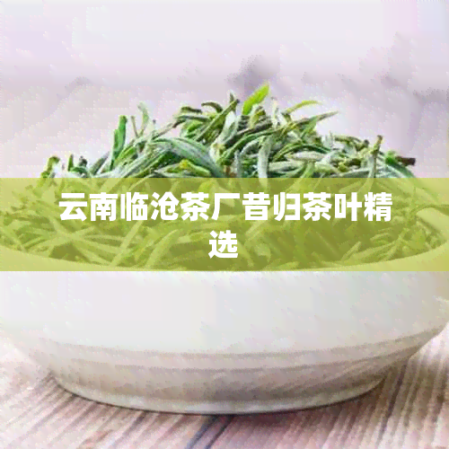 云南临沧茶厂昔归茶叶精选