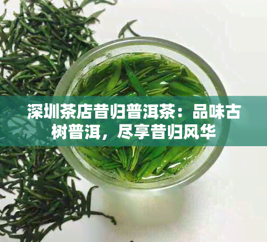 深圳茶店昔归普洱茶：品味古树普洱，尽享昔归风华