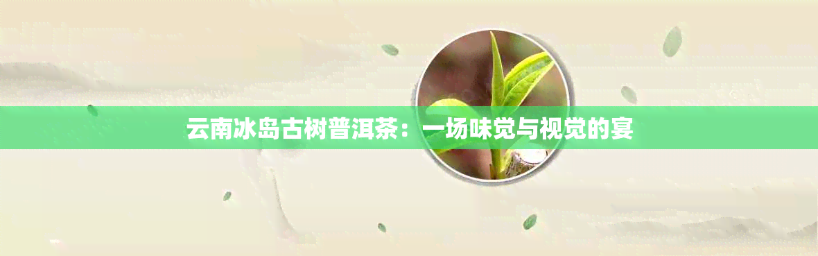 云南冰岛古树普洱茶：一场味觉与视觉的宴