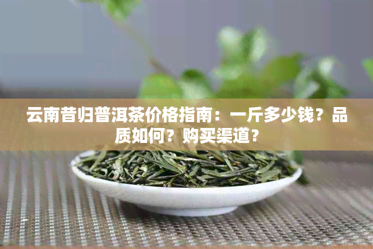 云南昔归普洱茶价格指南：一斤多少钱？品质如何？购买渠道？