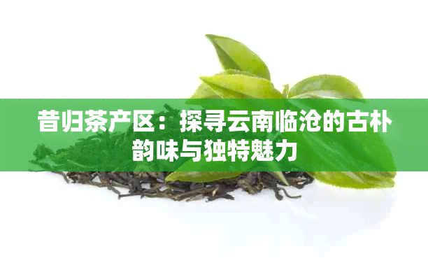 昔归茶产区：探寻云南临沧的古朴韵味与独特魅力