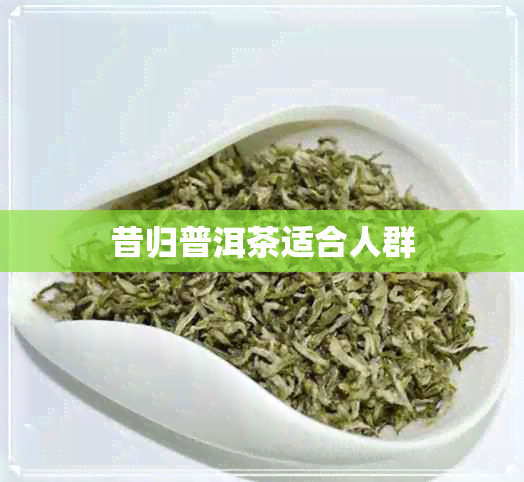 昔归普洱茶适合人群