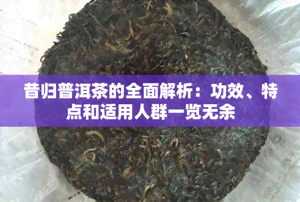 昔归普洱茶的全面解析：功效、特点和适用人群一览无余