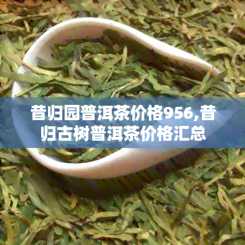 昔归园普洱茶价格956,昔归古树普洱茶价格汇总