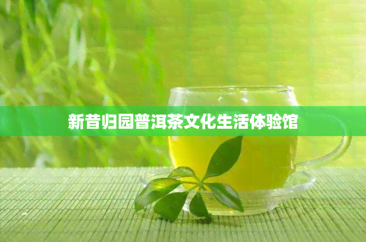 新昔归园普洱茶文化生活体验馆