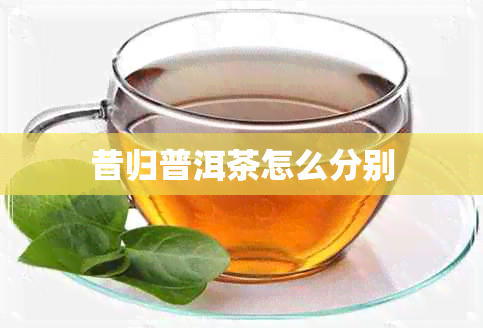 昔归普洱茶怎么分别