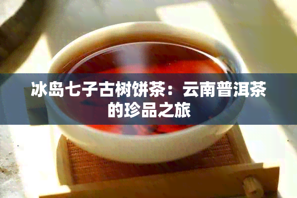 冰岛七子古树饼茶：云南普洱茶的珍品之旅