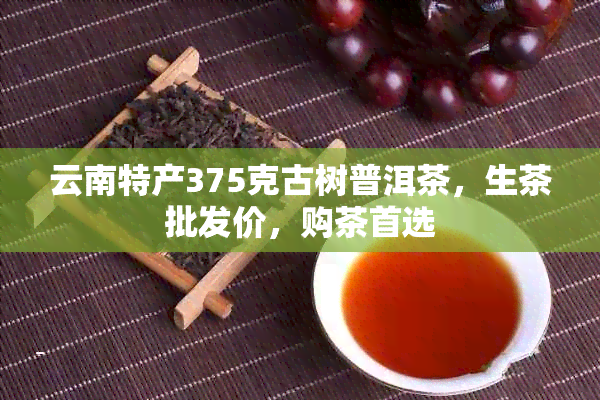 云南特产375克古树普洱茶，生茶批发价，购茶首选