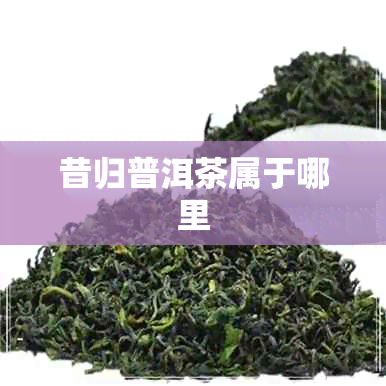 昔归普洱茶属于哪里