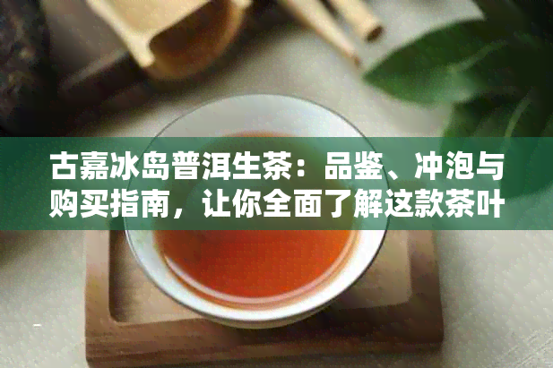 古嘉冰岛普洱生茶：品鉴、冲泡与购买指南，让你全面了解这款茶叶的魅力