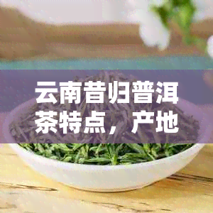 云南昔归普洱茶特点，产地与价格一览：条索清晰醇厚