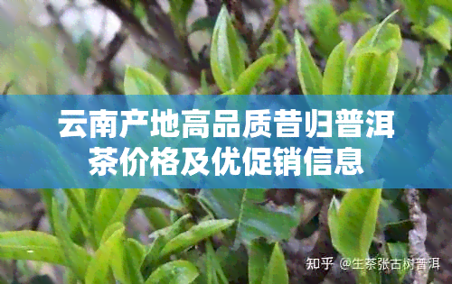 云南产地高品质昔归普洱茶价格及优促销信息