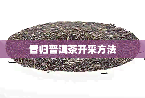 昔归普洱茶开采方法