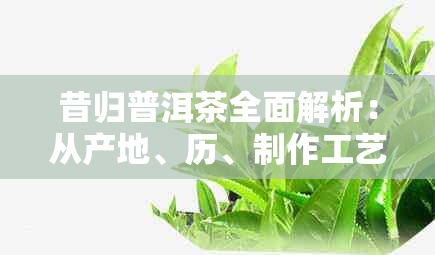 昔归普洱茶全面解析：从产地、历、制作工艺到品饮方法，解答用户所有疑问