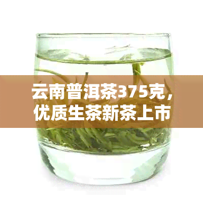 云南普洱茶375克，优质生茶新茶上市，健饮品团购特中