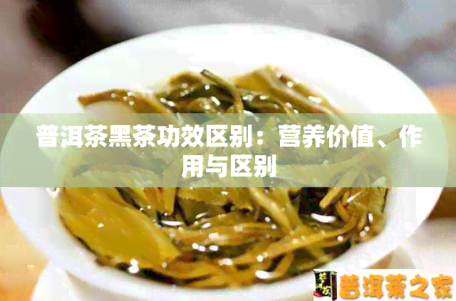 普洱茶黑茶功效区别：营养价值、作用与区别