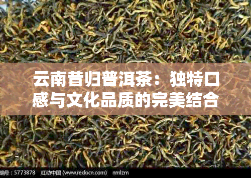 云南昔归普洱茶：独特口感与文化品质的完美结合