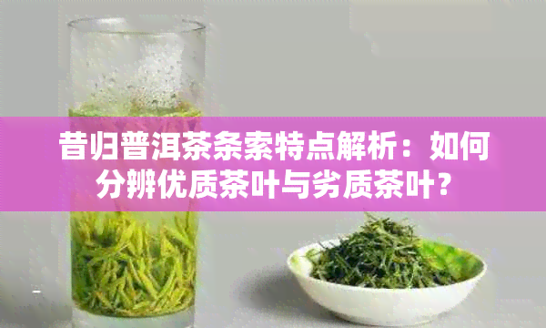 昔归普洱茶条索特点解析：如何分辨优质茶叶与劣质茶叶？