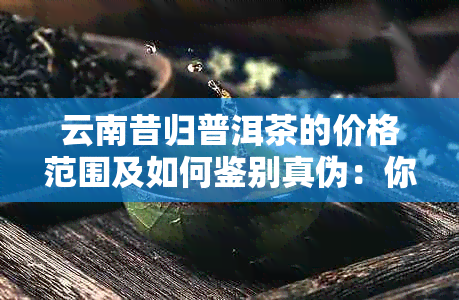 云南昔归普洱茶的价格范围及如何鉴别真伪：你需要知道的一切