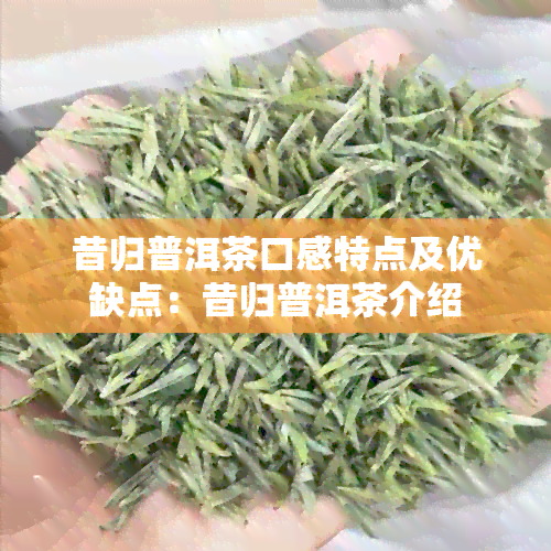 昔归普洱茶口感特点及优缺点：昔归普洱茶介绍