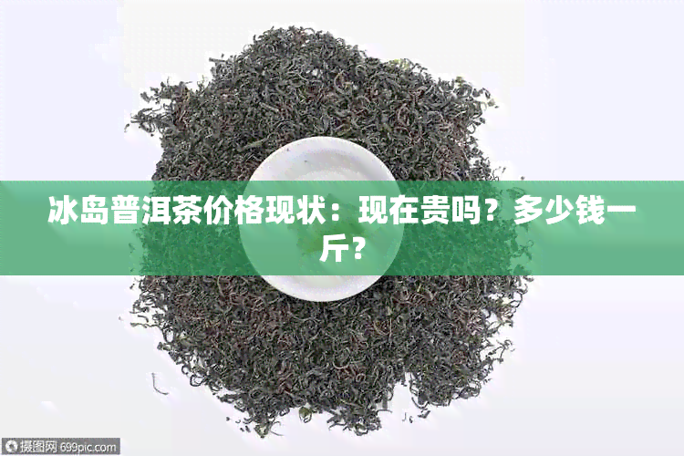 冰岛普洱茶价格现状：现在贵吗？多少钱一斤？