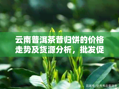 云南普洱茶昔归饼的价格走势及货源分析，批发促销进行中