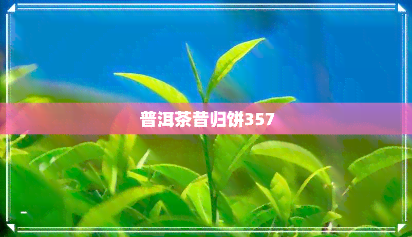 普洱茶昔归饼357