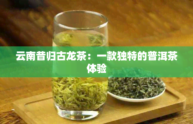 云南昔归古龙茶：一款独特的普洱茶体验