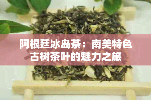 阿根廷冰岛茶：南美特色古树茶叶的魅力之旅