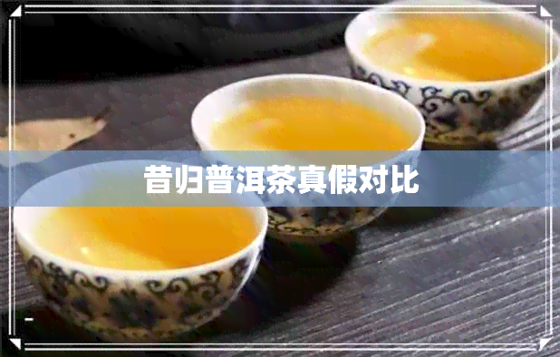 昔归普洱茶真假对比