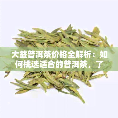 大益普洱茶价格全解析：如何挑选适合的普洱茶，了解市场行情与品质对比