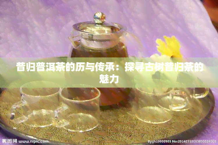 昔归普洱茶的历与传承：探寻古树昔归茶的魅力