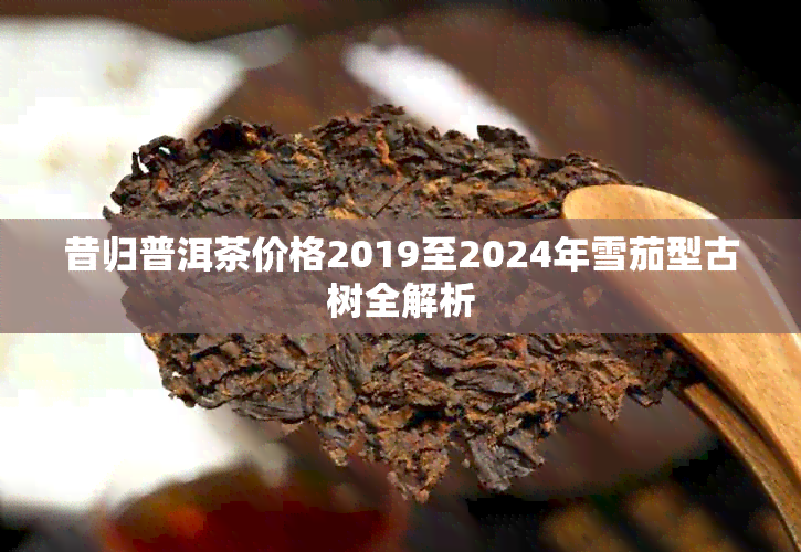 昔归普洱茶价格2019至2024年雪茄型古树全解析