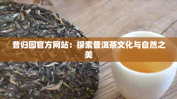 昔归园官方网站：探索普洱茶文化与自然之美