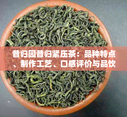 昔归园昔归紧压茶：品种特点、制作工艺、口感评价与品饮方法详解