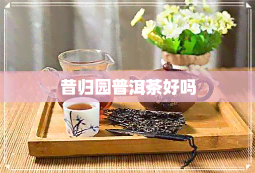 昔归园普洱茶好吗